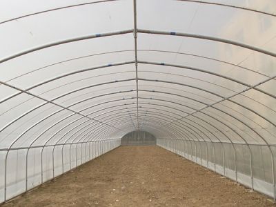 Greenhouse pipe