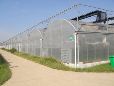 Greenhouse pipe